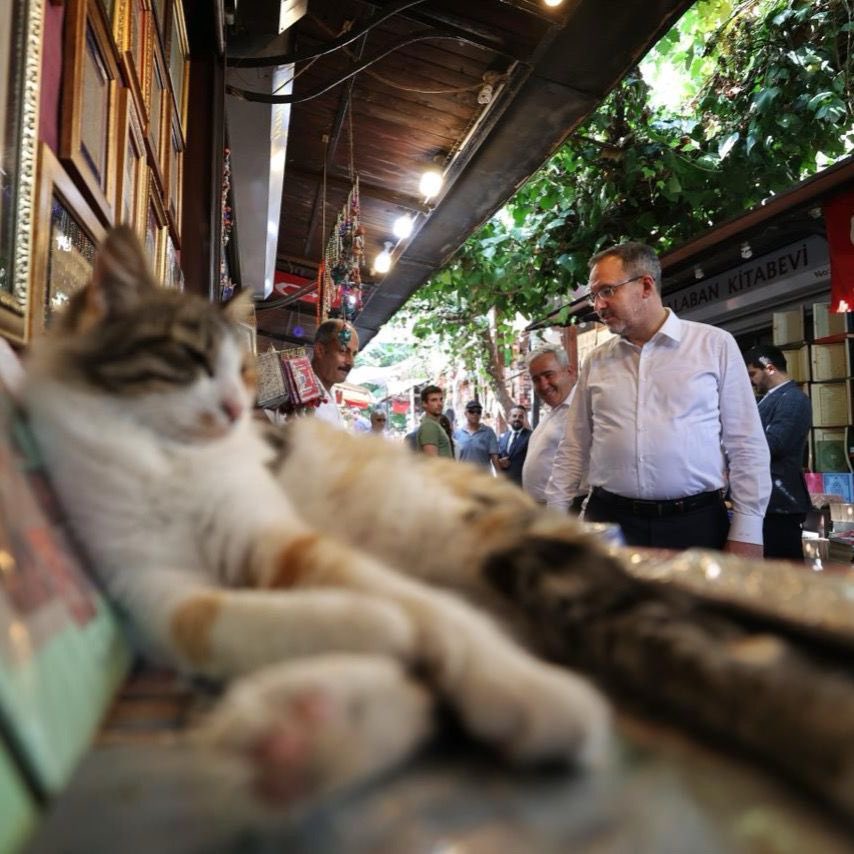 kasapoglu's tweet photo. Dünyayı güzelleştiren patili dostlarımızın günü kutlu olsun…🐈 #HayırlıHaftalar https://t.co/nnANCXpZRF
