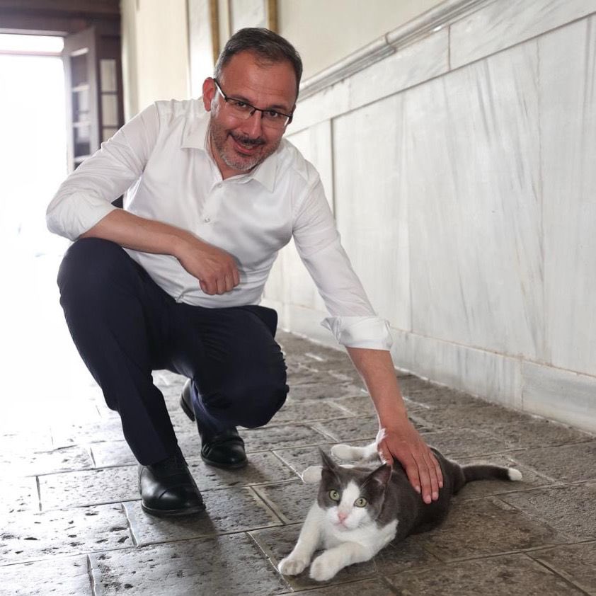 kasapoglu's tweet photo. Dünyayı güzelleştiren patili dostlarımızın günü kutlu olsun…🐈 #HayırlıHaftalar https://t.co/nnANCXpZRF