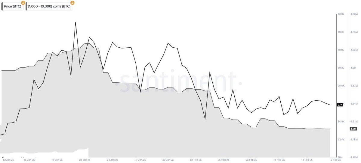 Solix_Trade's tweet photo. #Bitcoin $BTC 🐋 Whales have been unusually quiet last week with no major buying or selling activity! 📉📈 Stay tuned for more updates, follow me for the latest! 🔥🚀 #Crypto #BTC #Whales #MarketTrends #Blockchain #CryptoNews #Investing #Trading #CryptoMarket #BitcoinUpdates #CryptoCommunity