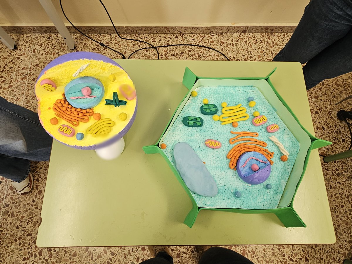 📝𝐐𝐮𝐞̀ 𝐟𝐞𝐦 𝐚 𝐥'𝐞𝐬𝐜𝐨𝐥𝐚? Dia Internacional de la Dona i la Nena en la Ciència a 5è.

calmaiol.cat/que-fem-a-lesc…