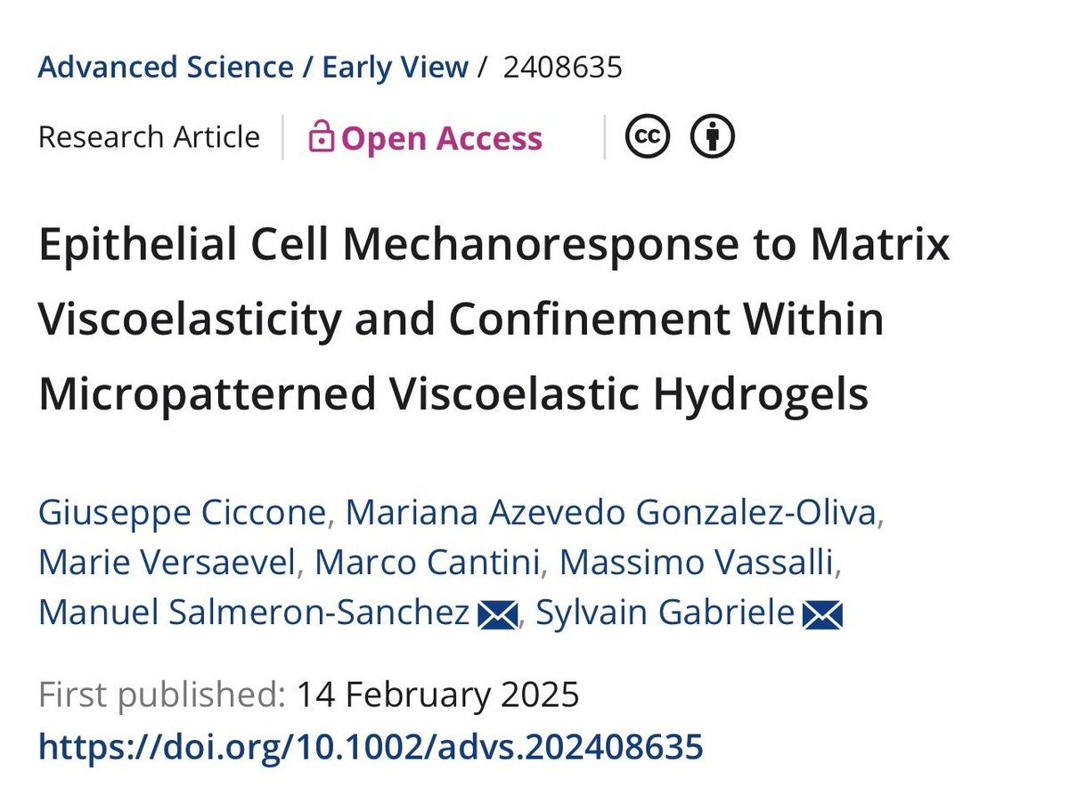 Giuseppe Ciccone (@giusciccone) on Twitter photo Very happy to share the final version of our work, out in #AdvancedScience <a href="/AdvPortfolio/">Advanced Portfolio News</a>
doi.org/10.1002/advs.2…
<a href="/ManuelMime/">Manuel Salmeron</a> <a href="/GabrieleSylvain/">Sylvain GABRIELE</a> Very happy to share the final version of our work, out in #AdvancedScience <a href="/AdvPortfolio/">Advanced Portfolio News</a>
doi.org/10.1002/advs.2…
<a href="/ManuelMime/">Manuel Salmeron</a> <a href="/GabrieleSylvain/">Sylvain GABRIELE</a>