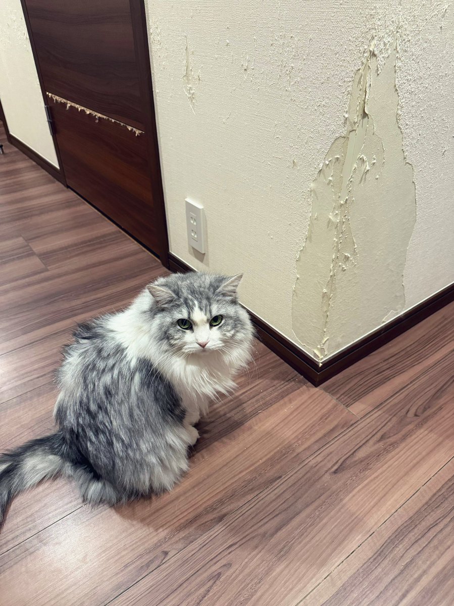 何その犯人を見るような目。君だよ？