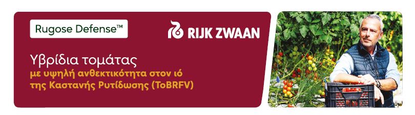 Υψηλή ανθεκτικότητα στον ιό ToBRFV - Η λύση από την Rijk Zwaan
bit.ly/3CXt8o5