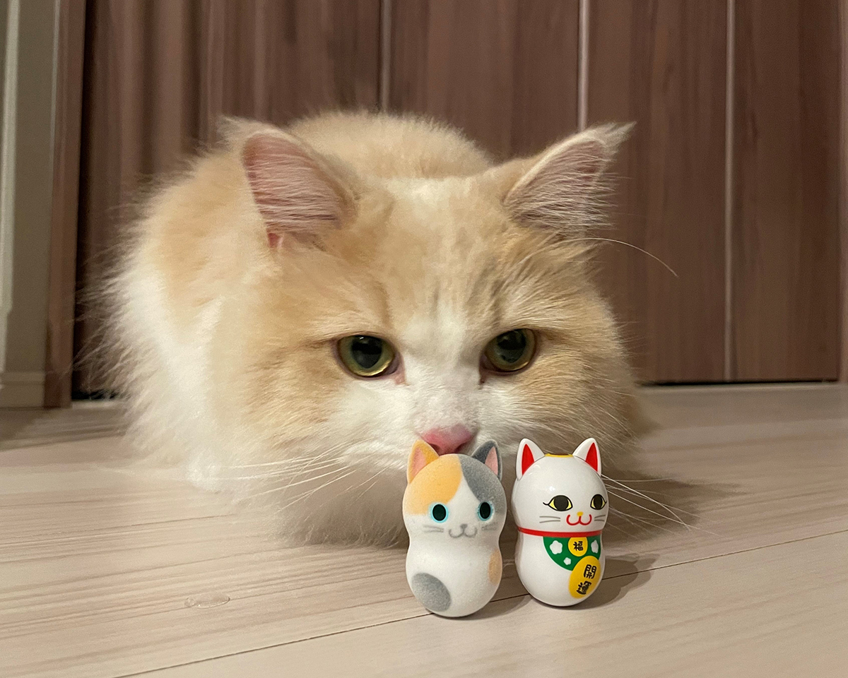 😺#クーニャッツ2 レポート⑨😺／ 【シークレット解禁】 今回で