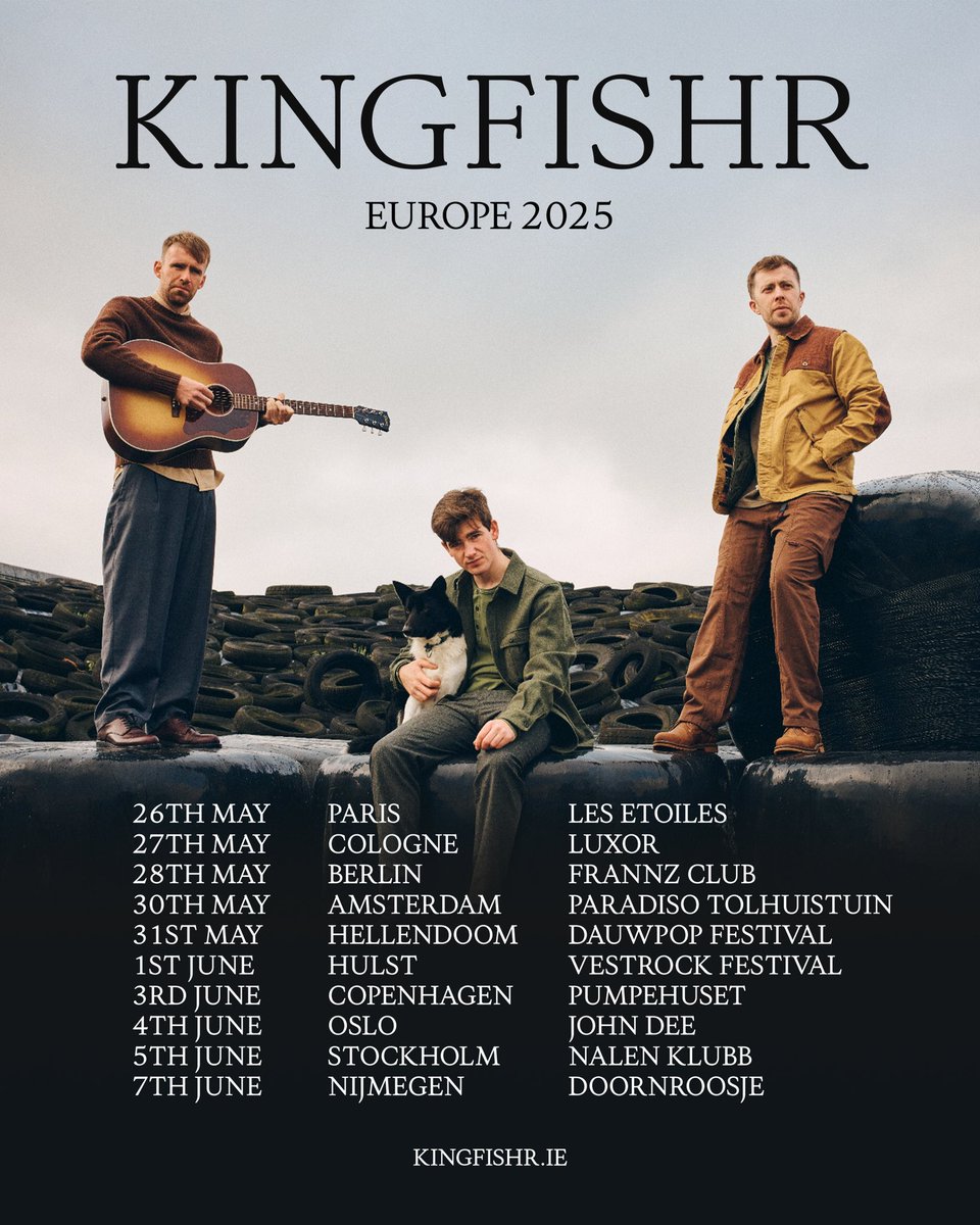 Kingfishr tweet media