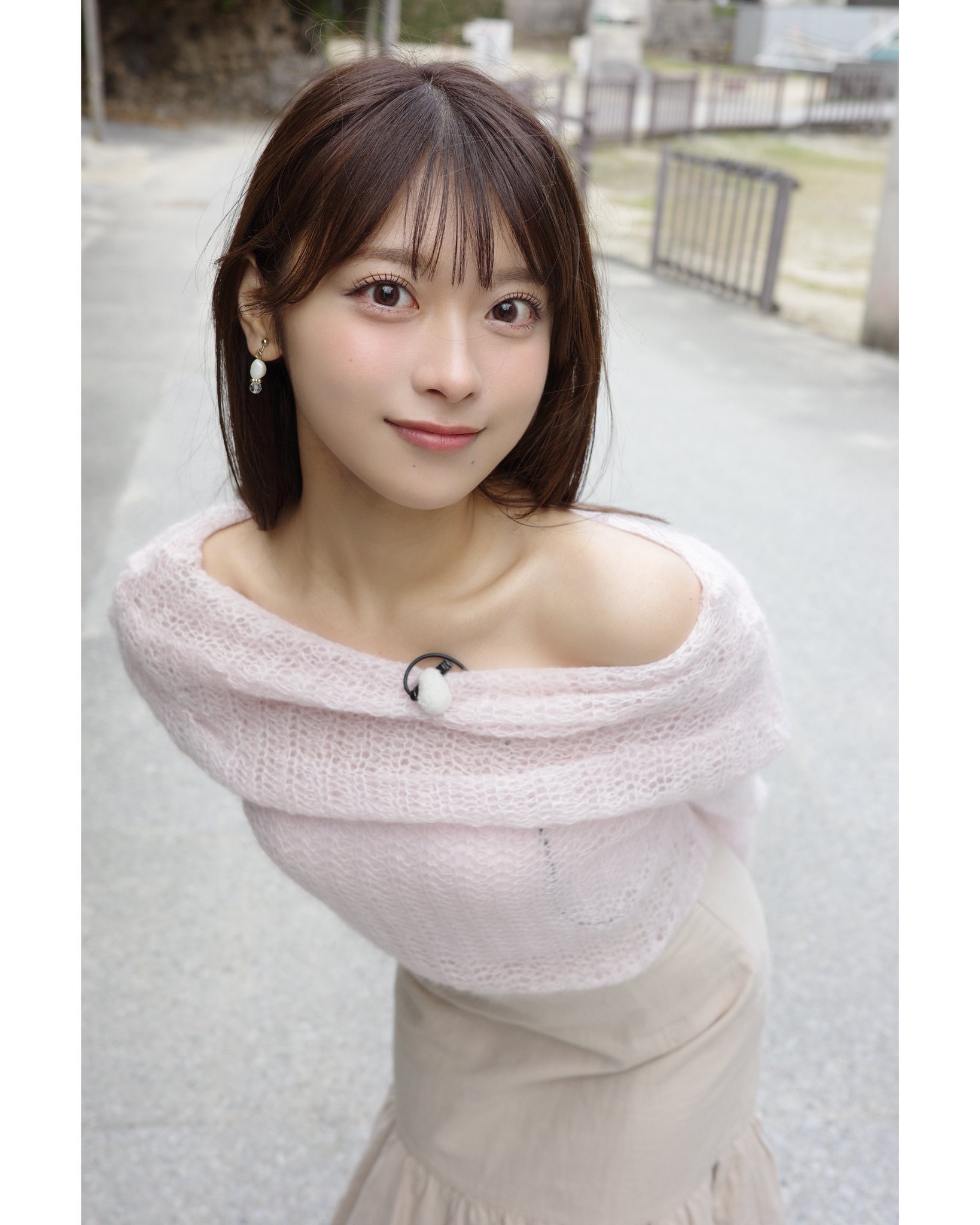 ピッピちゃんページ ピッピの飼い主 on X