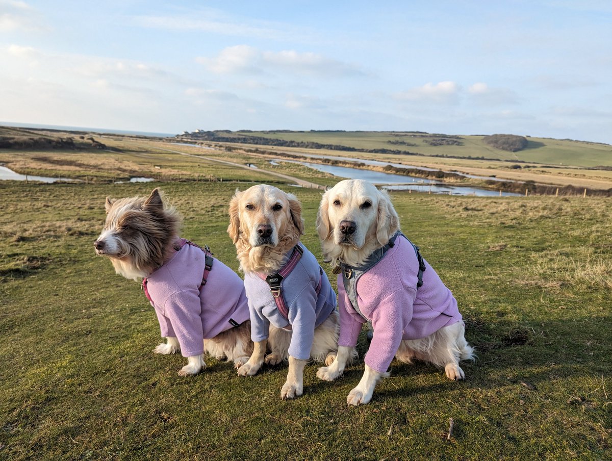 A sunny, frosty start to Monday morning! 💕⛅❄️💜