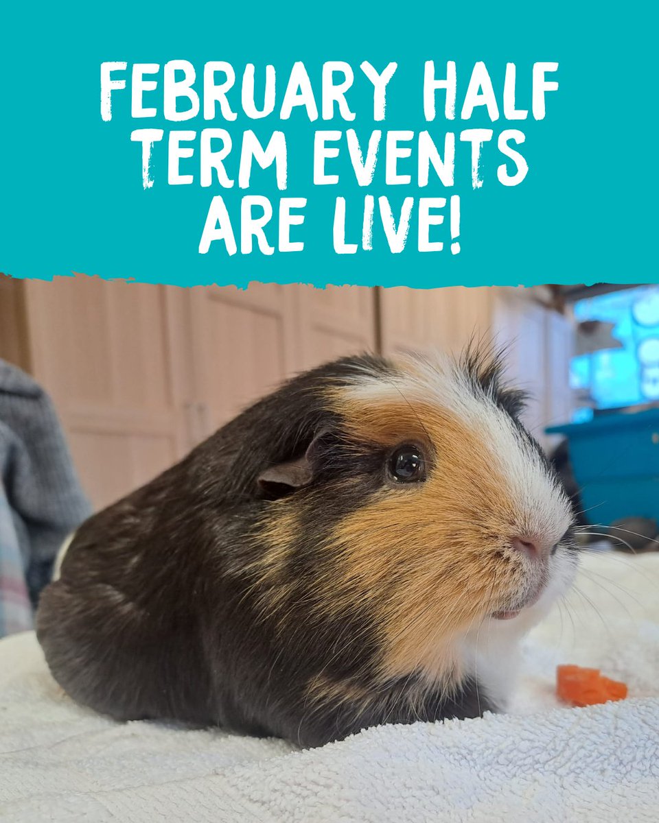 February Half Term events are open for booking! Learn how to take care of small animals in preparation for getting a pet, help put the animals to bed, sketch around the farmyard, make your own pizza, and more! tickettailor.com/events/ousebur…