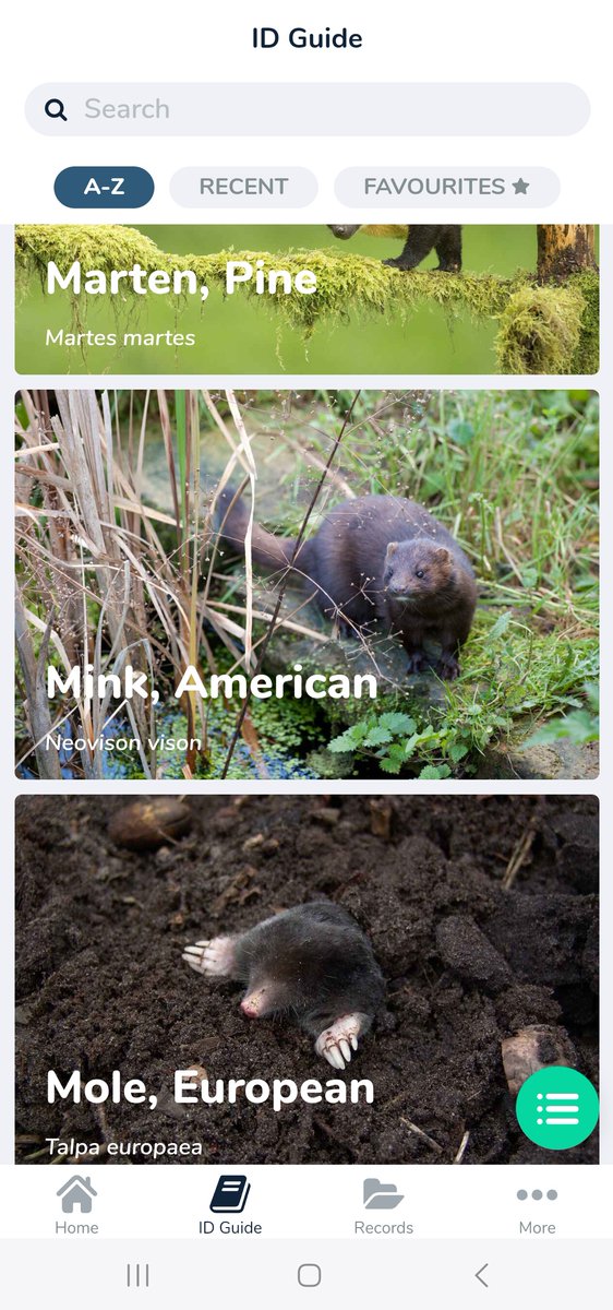 Biosecurity for LIFE (@biosecuritylife) on Twitter photo Heading out to the islands? We are now working with the <a href="/mammal_society/">Mammal Society</a> so that any signs of island #INNS you record on the <a href="/mammalmapperapp/">Mammal Mapper App</a> will be forwarded to us.
To ensure we get your data is simple just fill in the ‘Survey ID’ with ‘Biosecurity’. Heading out to the islands? We are now working with the <a href="/mammal_society/">Mammal Society</a> so that any signs of island #INNS you record on the <a href="/mammalmapperapp/">Mammal Mapper App</a> will be forwarded to us.
To ensure we get your data is simple just fill in the ‘Survey ID’ with ‘Biosecurity’.