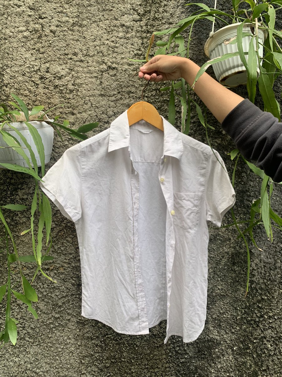 moonlight.t tweet media