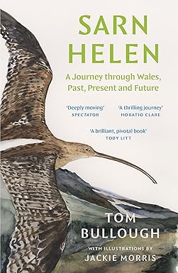At <a href="/WritersReview1/">WritersReview</a> we welcome new guest <a href="/AlisonLayland/">Alison Layland 🏞🌍💚</a>, who praises Tom Bullough's SARN HELEN, Welsh Book of the Year 2024 - #naturewriting, #landscape, #history, #climatechange and #protest. Cover art &amp; illustrations by the excellent Jackie Morris.  reviewsbywriters.blogspot.com/2025/02/guest-…