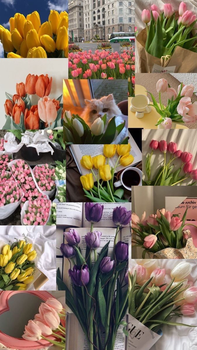 Nothing is more beautiful than the colours of nature.