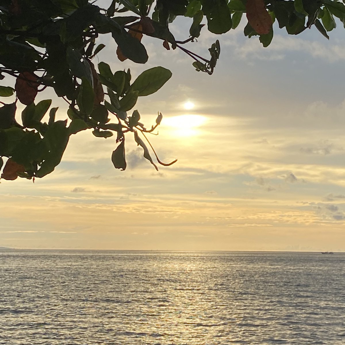 bookwormdaily's tweet image. love the sea✨💗