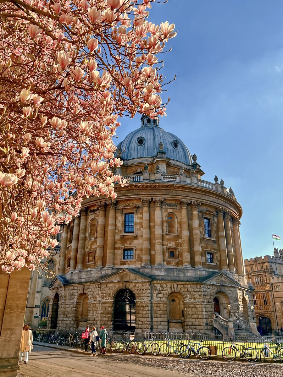 I am pleased to share that I have been invited to join <a href="/EthicsInAI/">The Institute for Ethics in AI</a> Institute at <a href="/UniofOxford/">University of Oxford</a> as a Short-term Visitor (May-June 2025).
Excited to engage with leading scholars, advance my AI ethics &amp; fundamental rights research, and contribute to critical discussions.
Grateful to