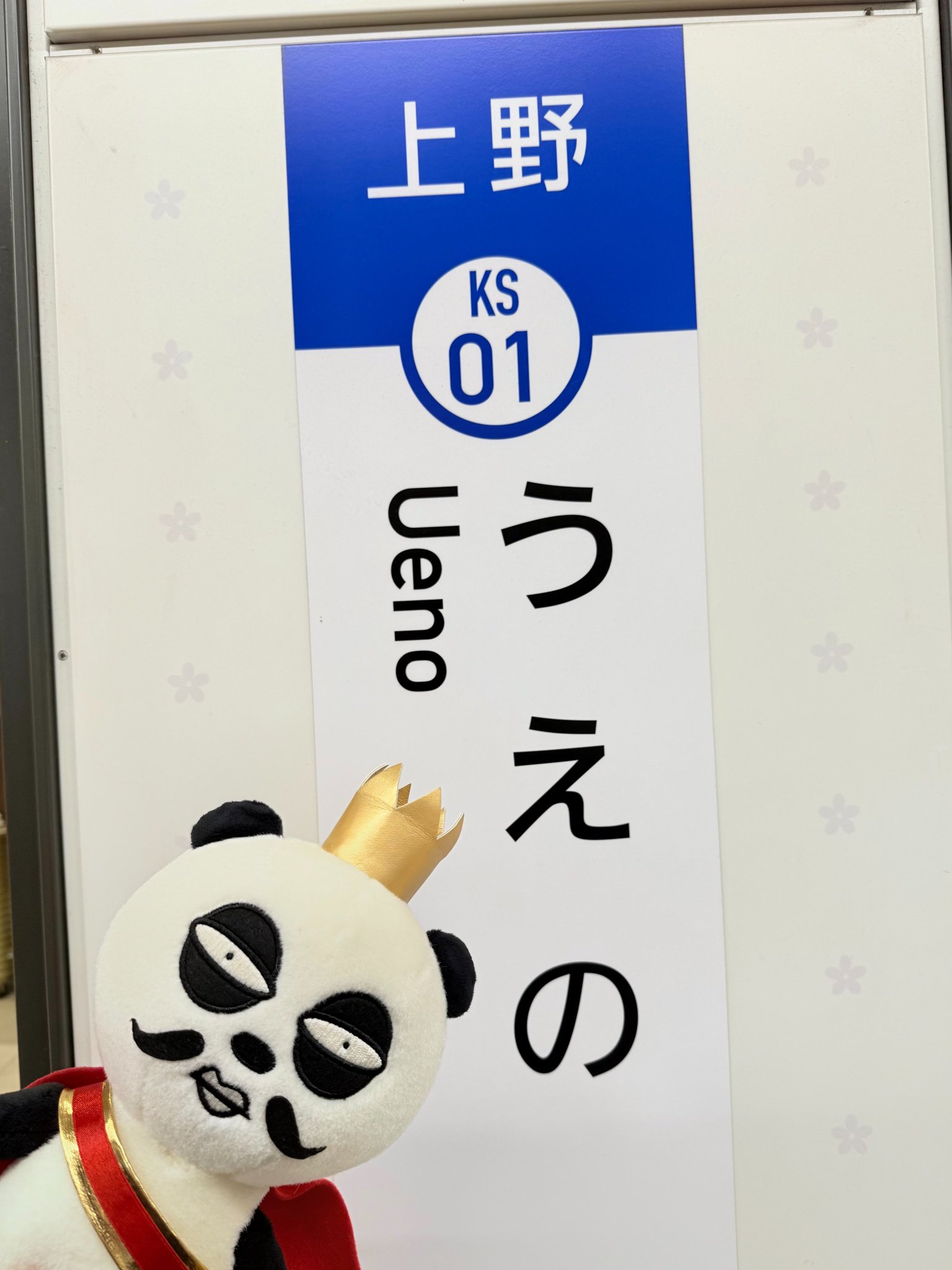 Gj-xlCqaAAAQDX7.jpg:large