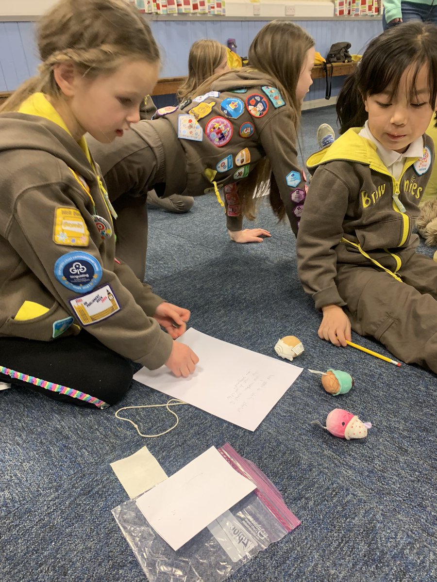 3rd Burgess Hill Brownies tweet media