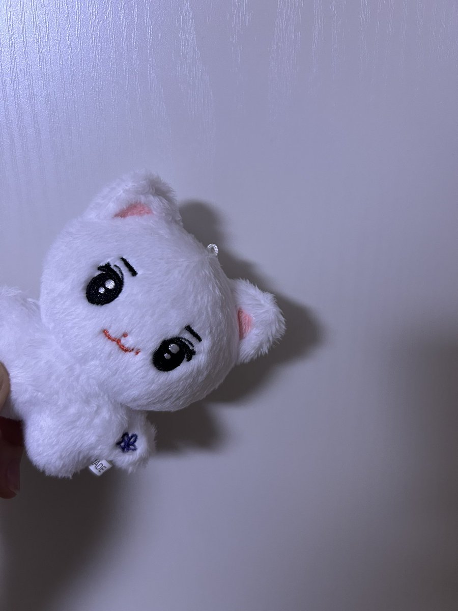 저애 작고 귀엽고 사랑스럽규 한 아이 더 데려올걸 싶은 커염둥이 사랑둥이
빵쭈냥 입니다아💗💗