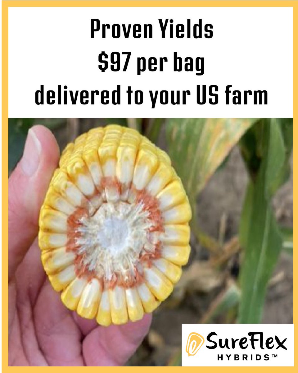 SureFlex Hybrids tweet media