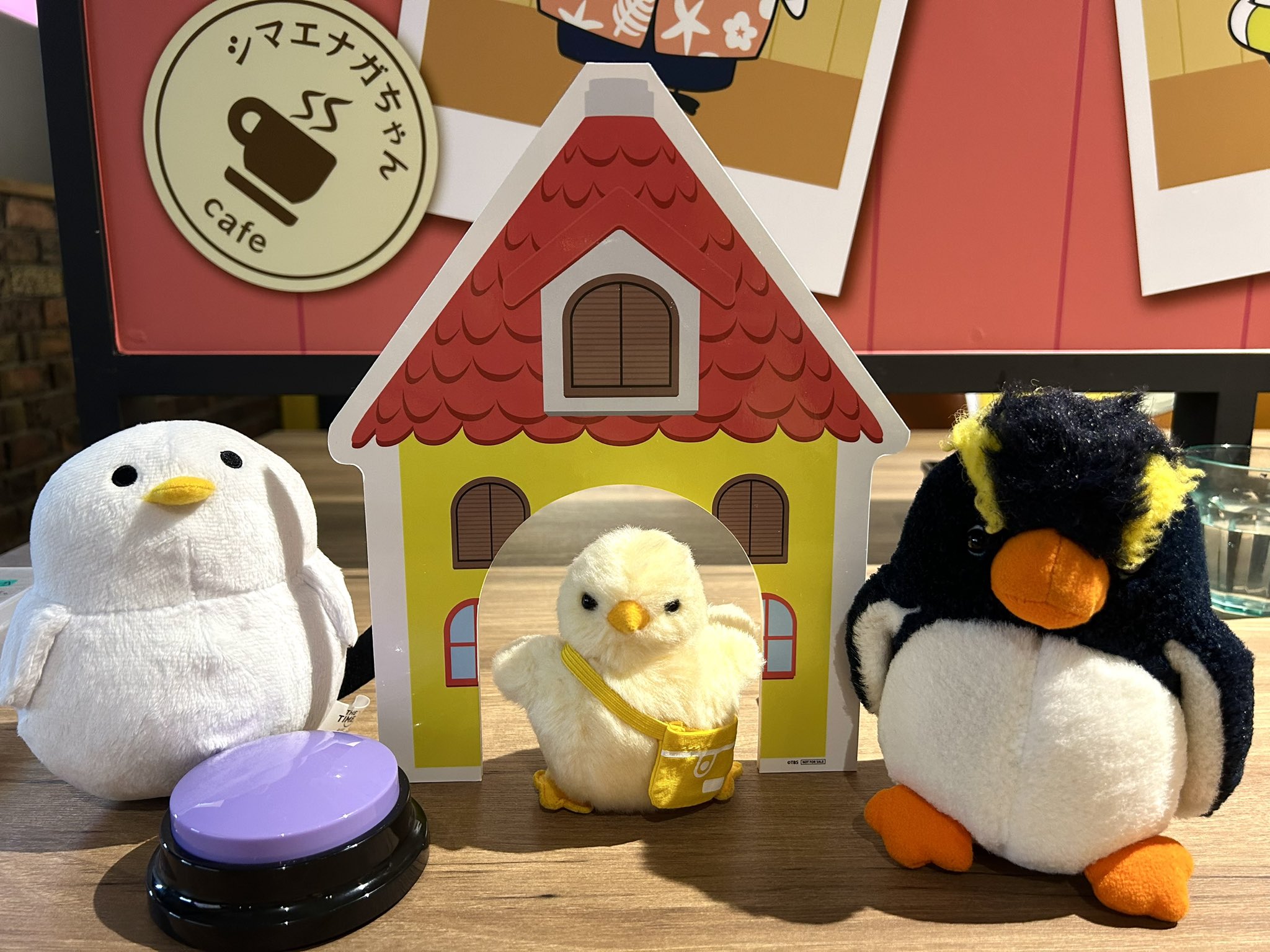 お茶の時間♡シマエナガ&ひよこ TBS『THE TIME, 』 on X: 