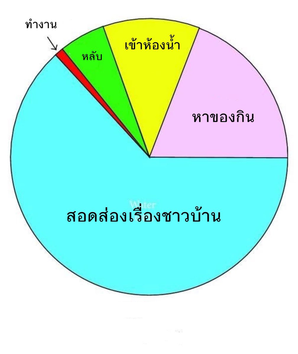 ใน 1 วันของฉัน :