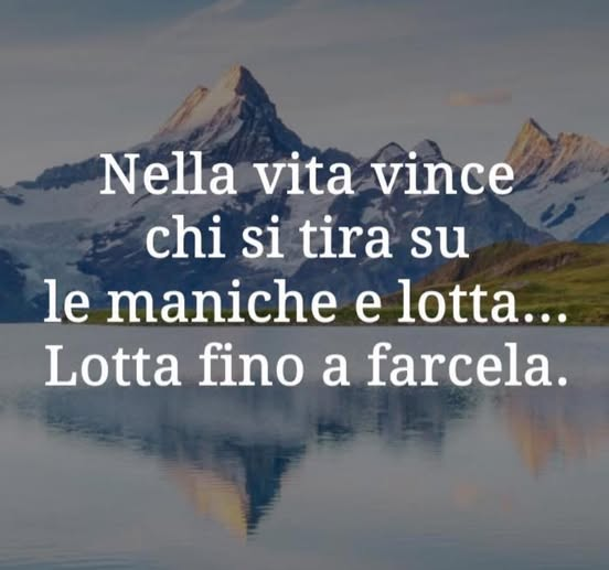 Babbaribba's tweet photo. ...lotta sempre per farcela.... https://t.co/mOApPisq6j