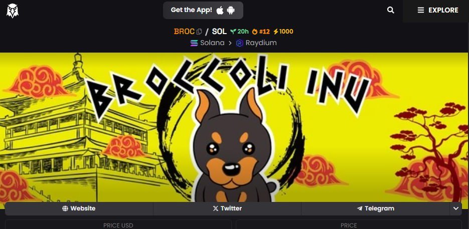 Broccoli Inu tweet media