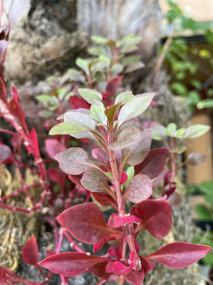 Have a blessed day to all