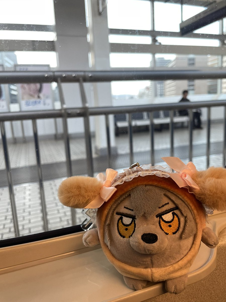 minobebe666's tweet photo. 帰るよ https://t.co/20FzPnB8D9