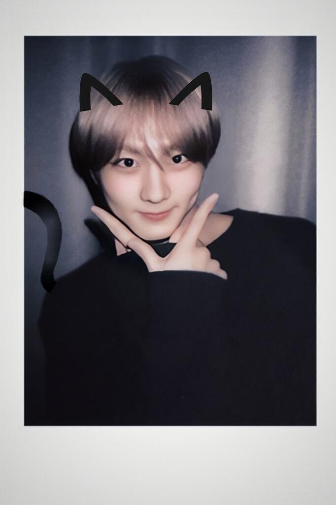 쩡냥 (@ok_nyang) on Twitter photo 