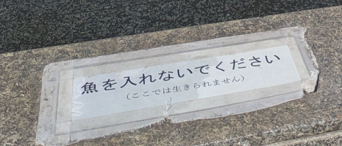 魚を入れないでください（ここでは生きられません）