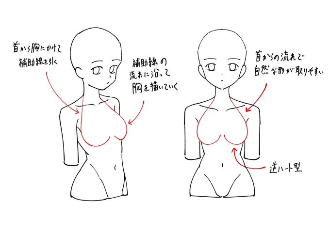胸を描くときのポイントメモです。 