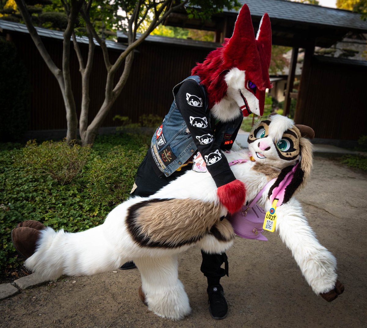 Draxis / ドラクシス tweet media