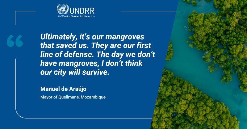 UNDRR's tweet photo. There are no silver bullets against challenges such as sea level rise & extreme weather, but #NatureBasedSolutions are often a 1st line of defence.
Find out how investing in mangrove restoration in Quelimane 🇲🇿 paid out when #CycloneIdai hit in 2019
➡️ https://t.co/QSUMkE3Qhk https://t.co/8k6XAIAVSP