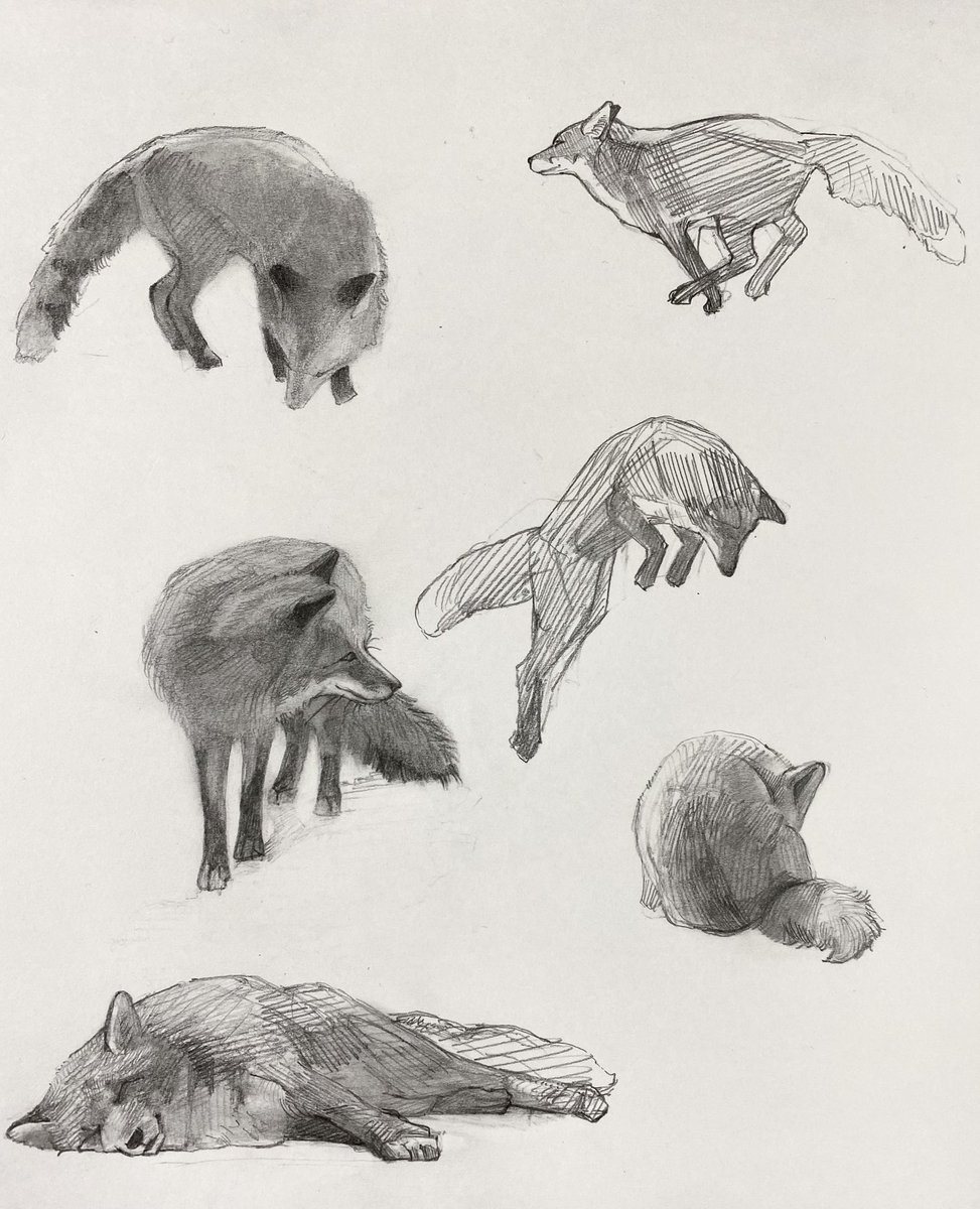 いっぱい描いた〜🦊
尻尾の付け根あたりのｷｭｯﾓﾌｯとしてるところ好き。⌛️ぽい形