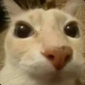 Pinche día todo culero,
Quiero desaparecer