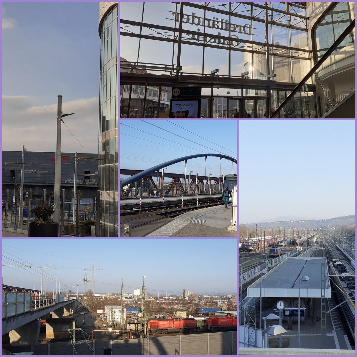 frauhasenklee's tweet image. Frostiger Samstagmorgen in #WeilamRhein.