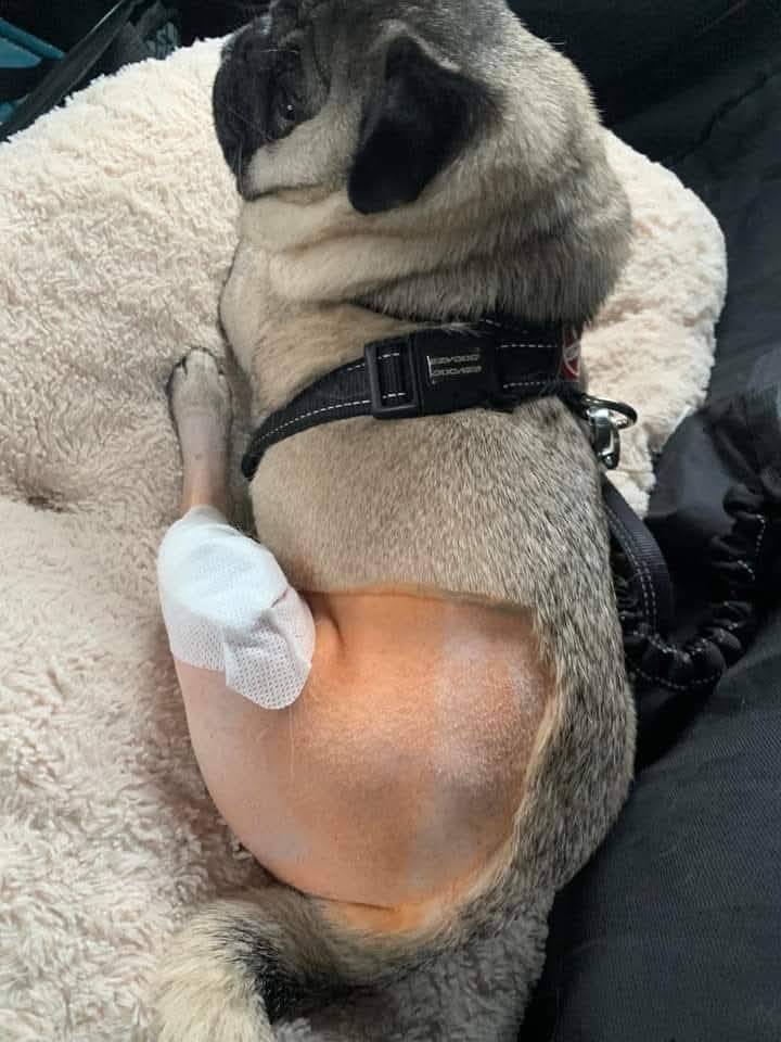 Please don't swipe past without sending him some love and prayers! .