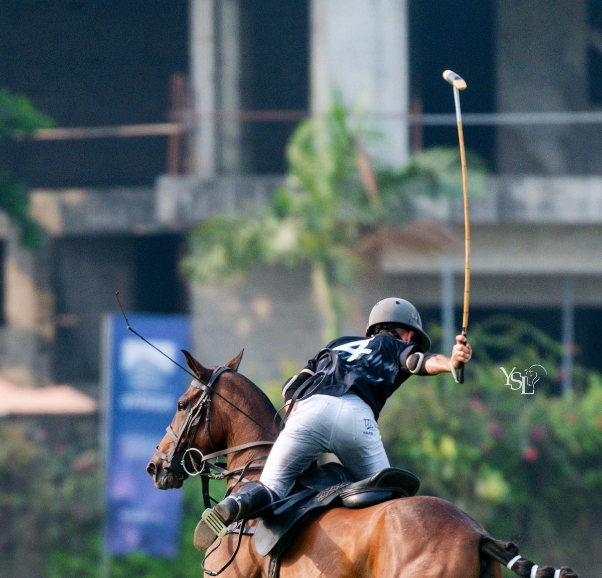 Do you know :

STL Polo remains unbeaten in this tournament, winning every match so far.