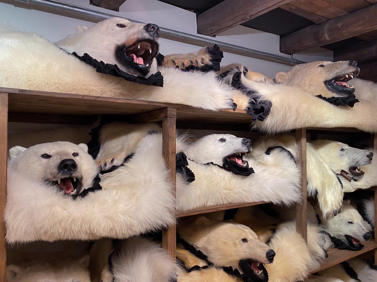 Peter Egan tweet media