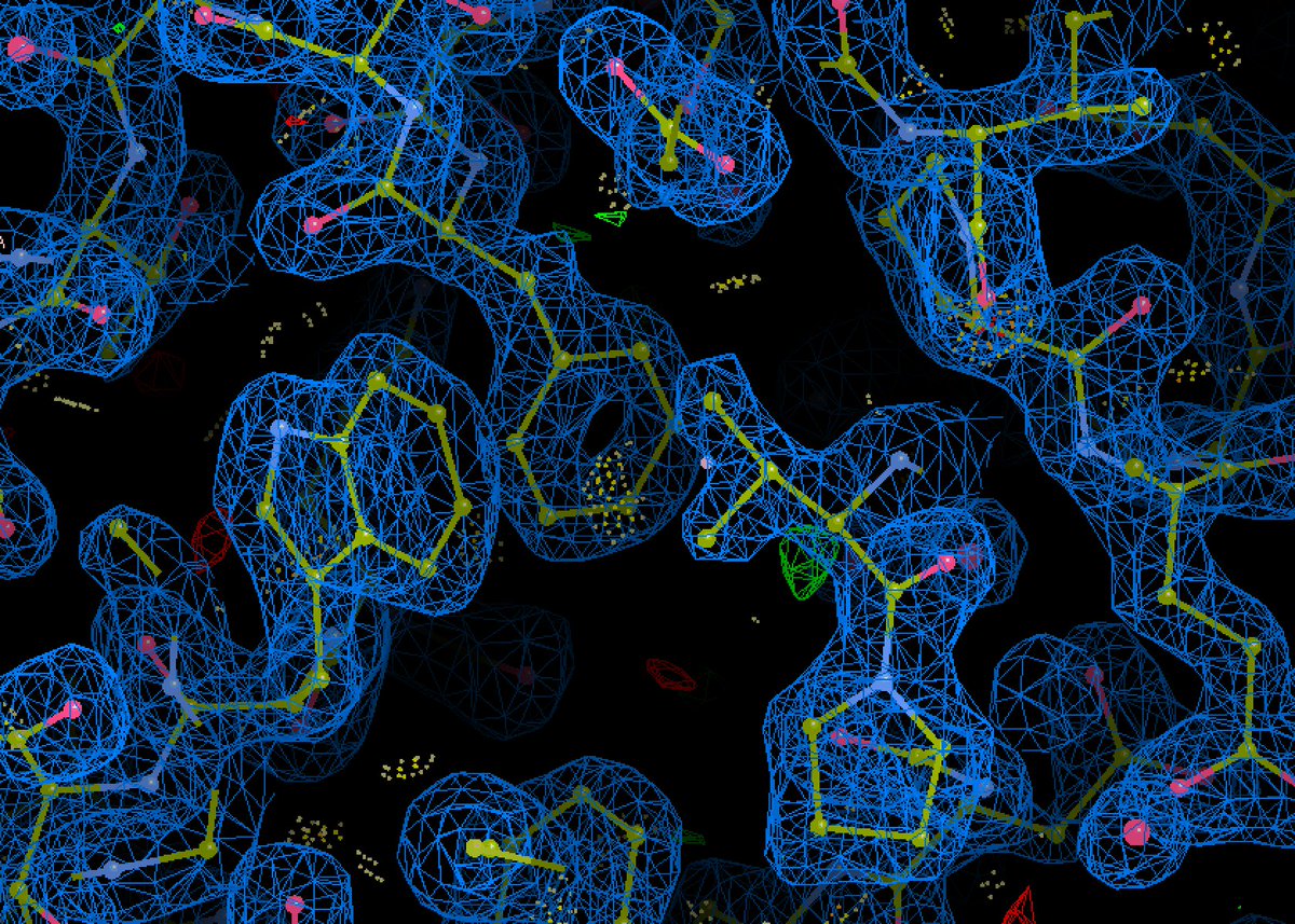Petya Krasteva (@krastevalab) on Twitter photo And another one bites the flux 🤘🤘🤘! Molecular replacement was tricky mostly because of Alphafold lacking imagination 😅! Beautiful home source data at 1.9 Å courtesy again of Xtal master <a href="/Brice_Kauffmann/">Brice Kauffmann</a> at our <a href="/iecb_bordeaux/">Institut Européen de Chimie et Biologie</a> 🙏 And another one bites the flux 🤘🤘🤘! Molecular replacement was tricky mostly because of Alphafold lacking imagination 😅! Beautiful home source data at 1.9 Å courtesy again of Xtal master <a href="/Brice_Kauffmann/">Brice Kauffmann</a> at our <a href="/iecb_bordeaux/">Institut Européen de Chimie et Biologie</a> 🙏