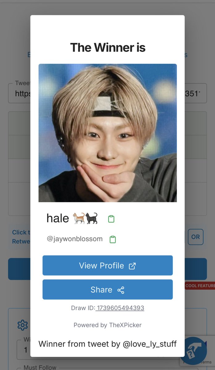 love_ly_stuff's tweet photo. winner: @jaywonblossom 🐈

please dm us to claim your prize 🥳 https://t.co/Q89TDcTklI