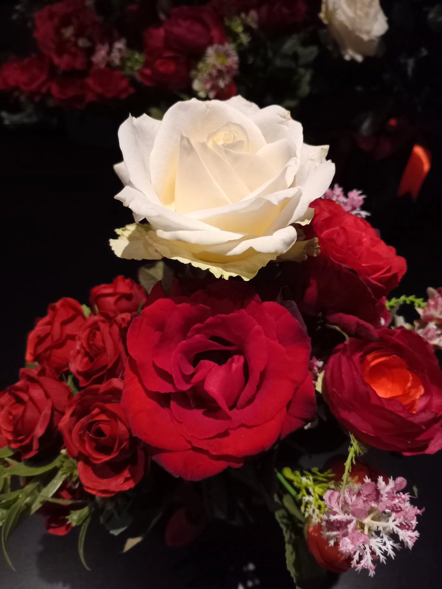 child of God🦋 tweet media