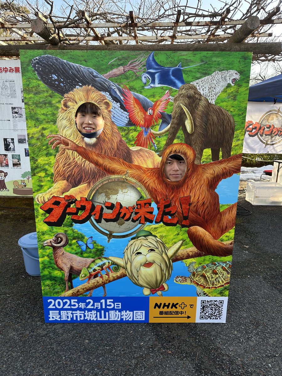 虎太狼　長野市発 08_2024狼ベンチIMG_2249_small.jpg