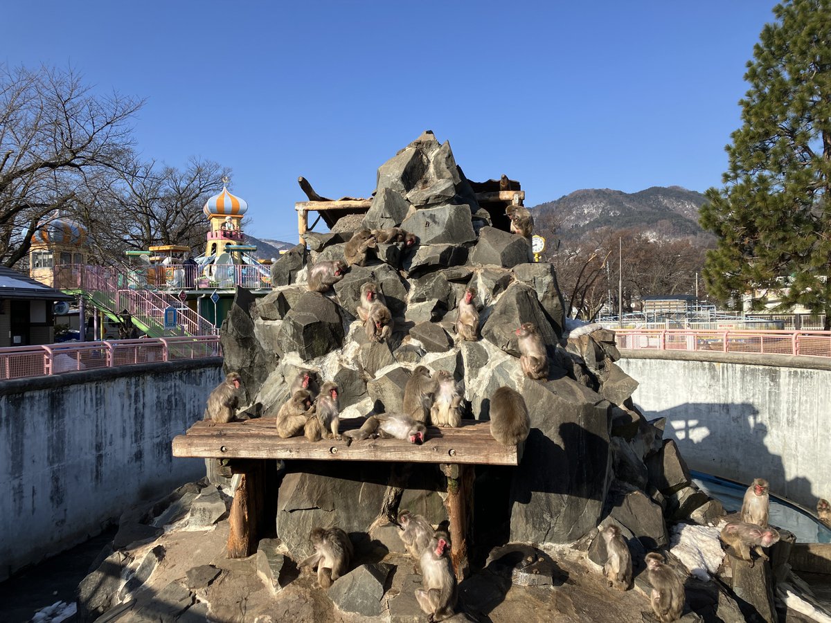 虎太狼　長野市発 08_2024狼ベンチIMG_2249_small.jpg