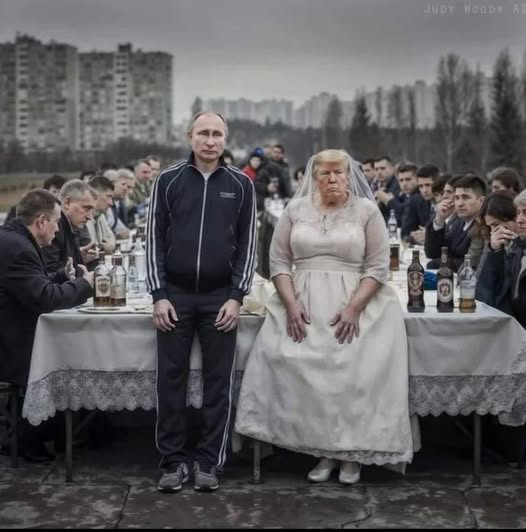 BlobRai3's tweet photo. M: MATRIMONIO DEL SECOLO"!?!
Trump, il messaggio a Zelensky: "Ucraina al tavolo con Putin"-
Il presidente ucraino: "Nessun negoziato senza di noi". Trump: "La Russia deve tornare nel G8"... (Adnkronos)
Alle 20 su #ra3 speciale #BlobASanremo di Fabio Masi ed Elena Vecchia. https://t.co/xVALd6YaFM