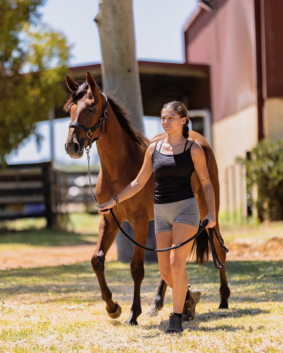 We spent the day at Allwood Stud Farm doing photos and videos of their 2025 <a href="/AustPacingGold/">APG Ltd</a> Perth Sale Draft.

Keep an eye out for the content! 

#Pacepix