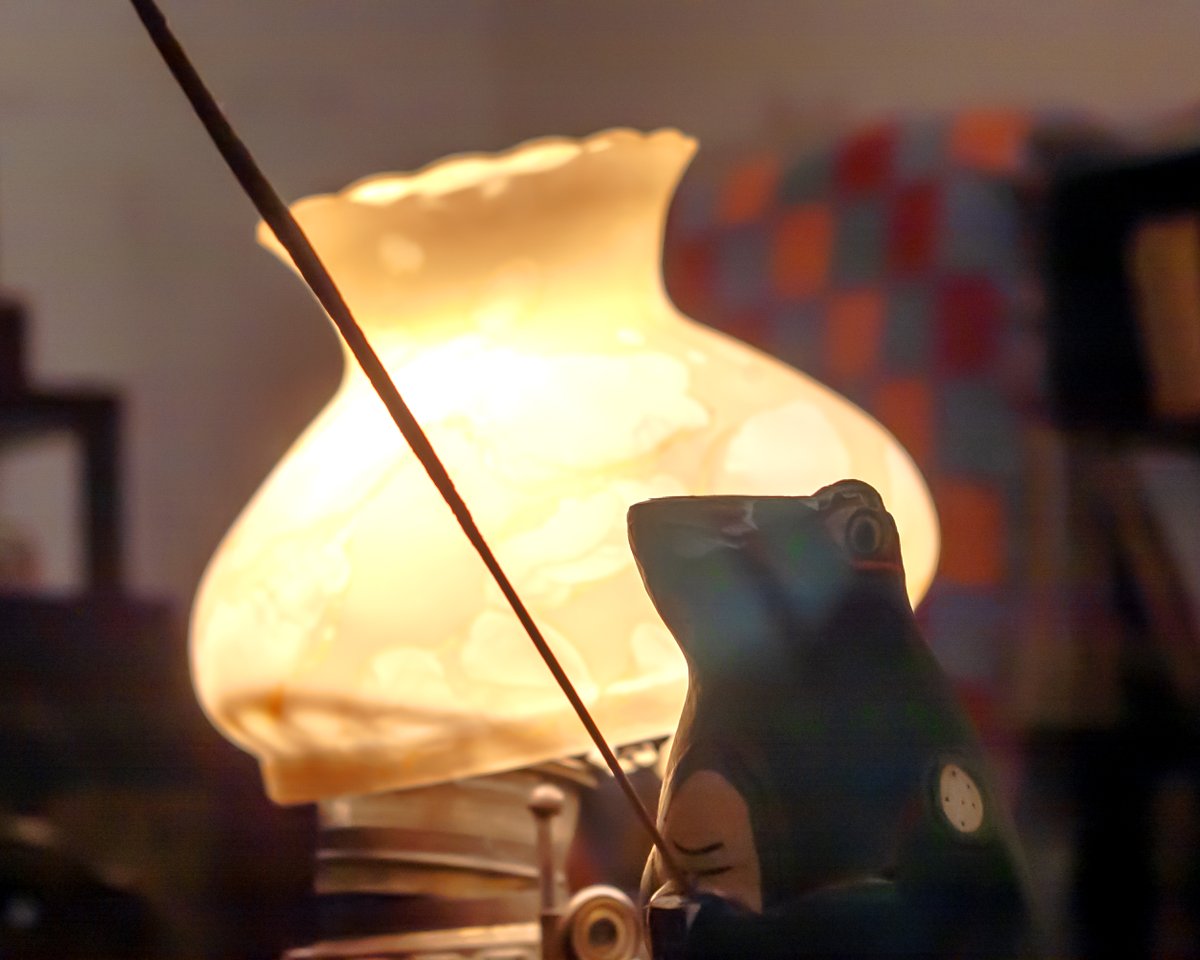 bbenzon's tweet image. #DailyPictureTheme #Why_not