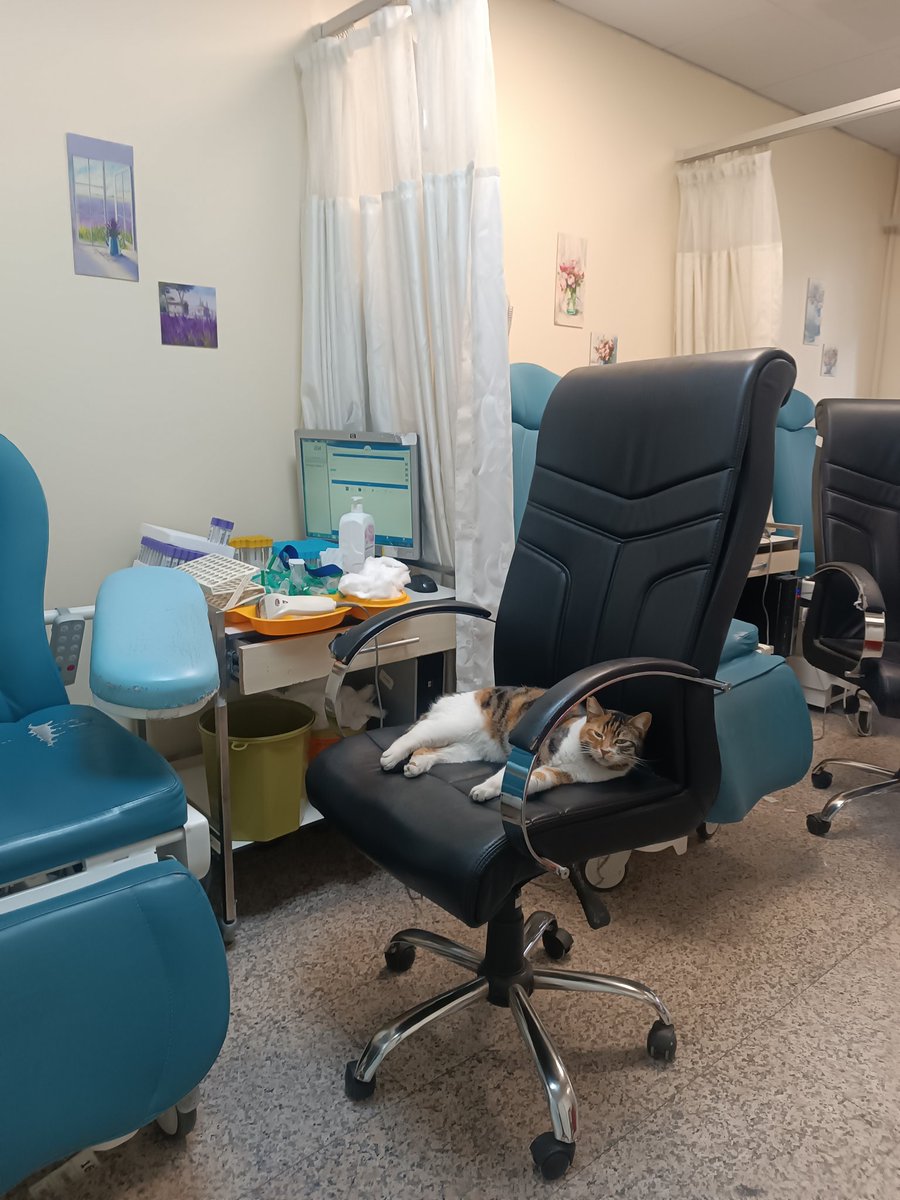 sshitherewego's tweet photo. @TranslatedCats What about this employee? https://t.co/PcTrsEFERF