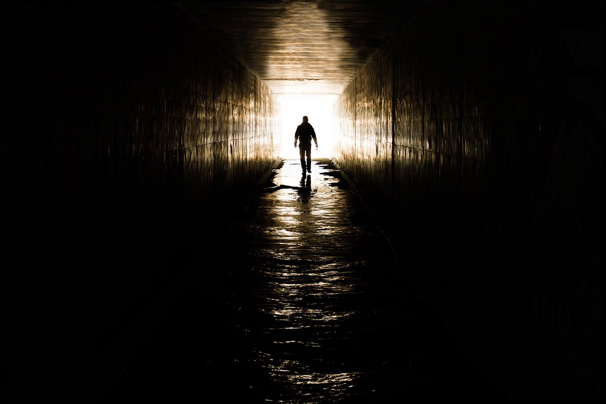 KevinRDuncan's tweet photo. “As you think celestial, you will find yourself avoiding anything that robs you of your agency. Any addiction—be it gaming, gambling, debt, drugs, alcohol, anger, pornography, sex, or even food —offends God… because your obsession becomes your god.” @NelsonRussellM

Choose freedom over fixation.