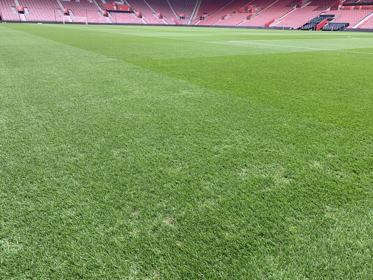 stevenew12's tweet image. Reasonably pleased with how the pitch is coping with the new challenge of match day -1 training. A few scars but we keep working at it. Ready for @SouthamptonFC V @afcbournemouth KO 3pm. @dogpockets @GJMills2000 #SaintsFC